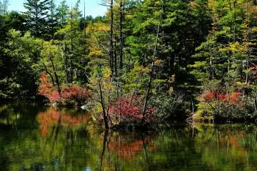 Leaves on the trees in Lake Myojin are changing colors already (Photo: MASAYOSHI HIROSE)